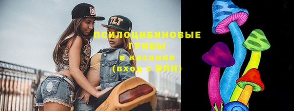 ГАЛЛЮЦИНОГЕННЫЕ ГРИБЫ Нефтегорск