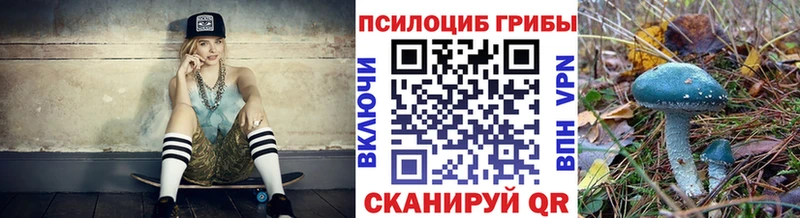 Купить  Сясьстрой  Галлюциногенные грибы ЛСД 