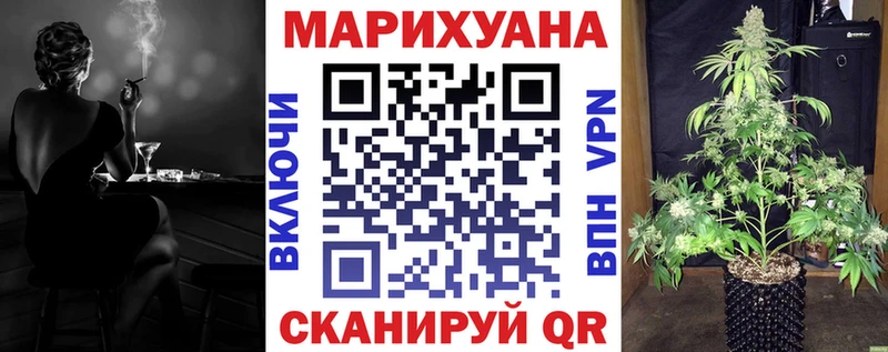 Купить закладки  Сясьстрой  Шишки марихуана гибрид 